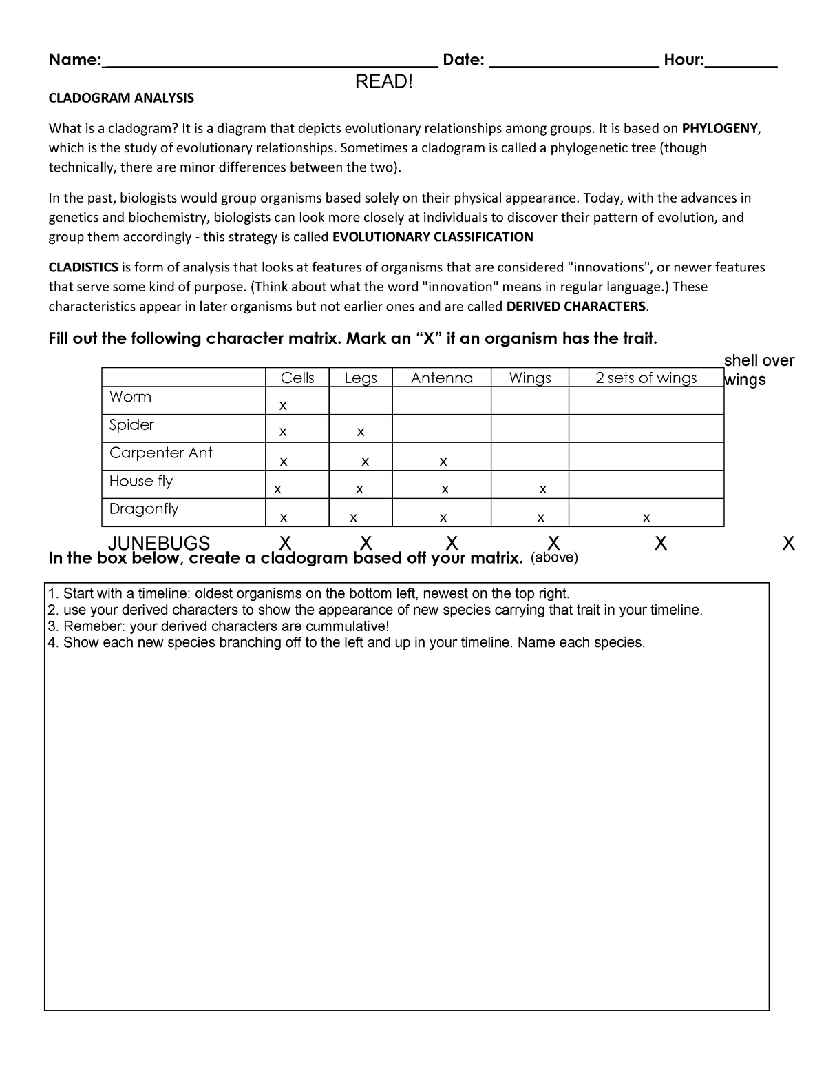 Cladogram Worksheet Practice KEY Name Date Studocu Worksheets 