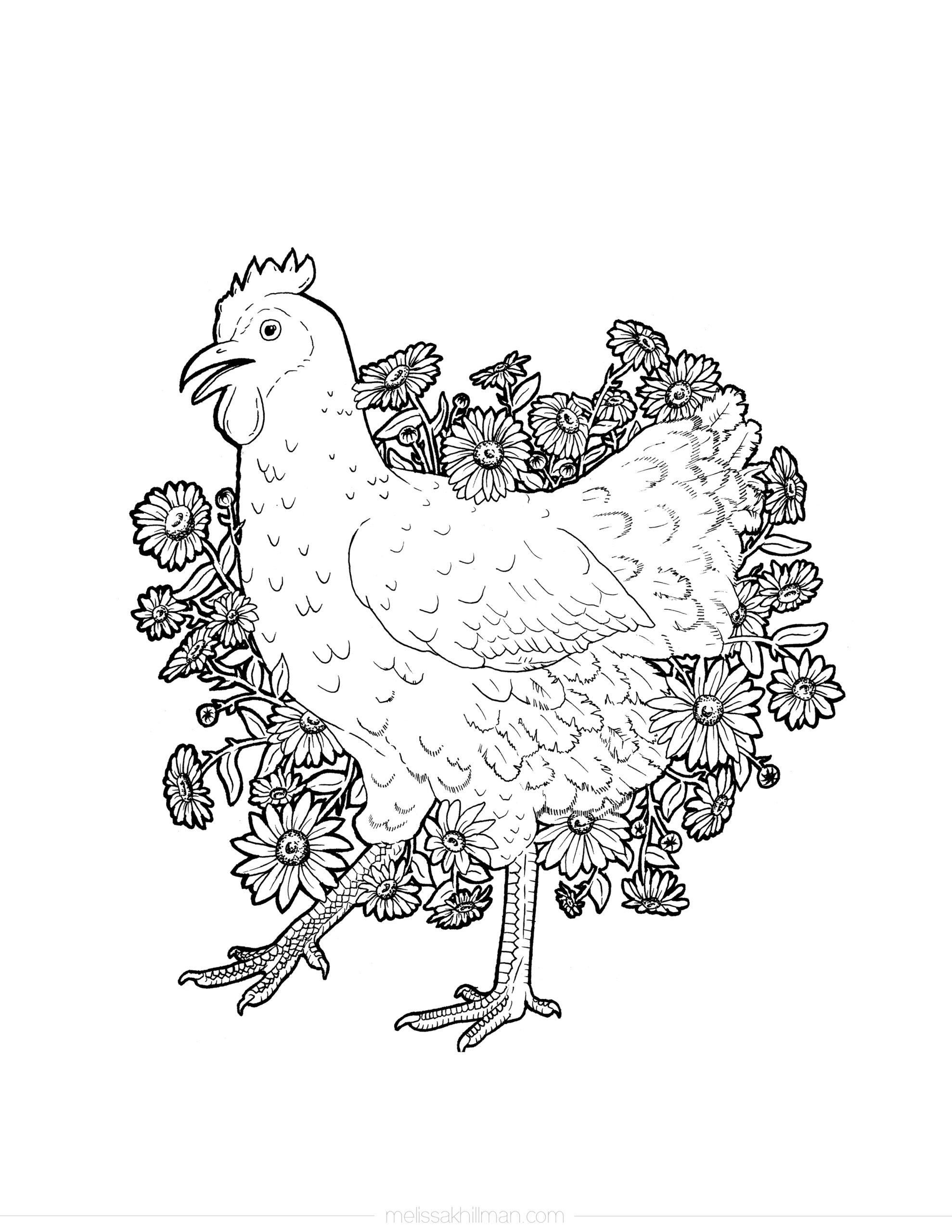 Collection Of Chicken Coloring Pages Free Printable