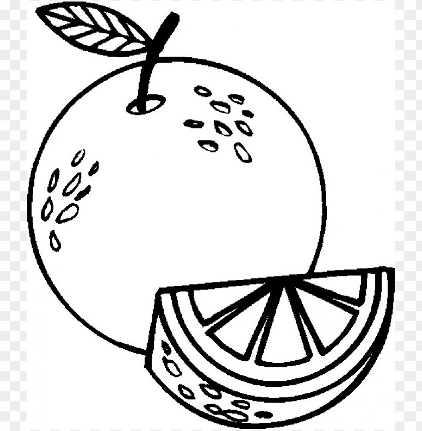 Color Orange Coloring Pages Coloring Home