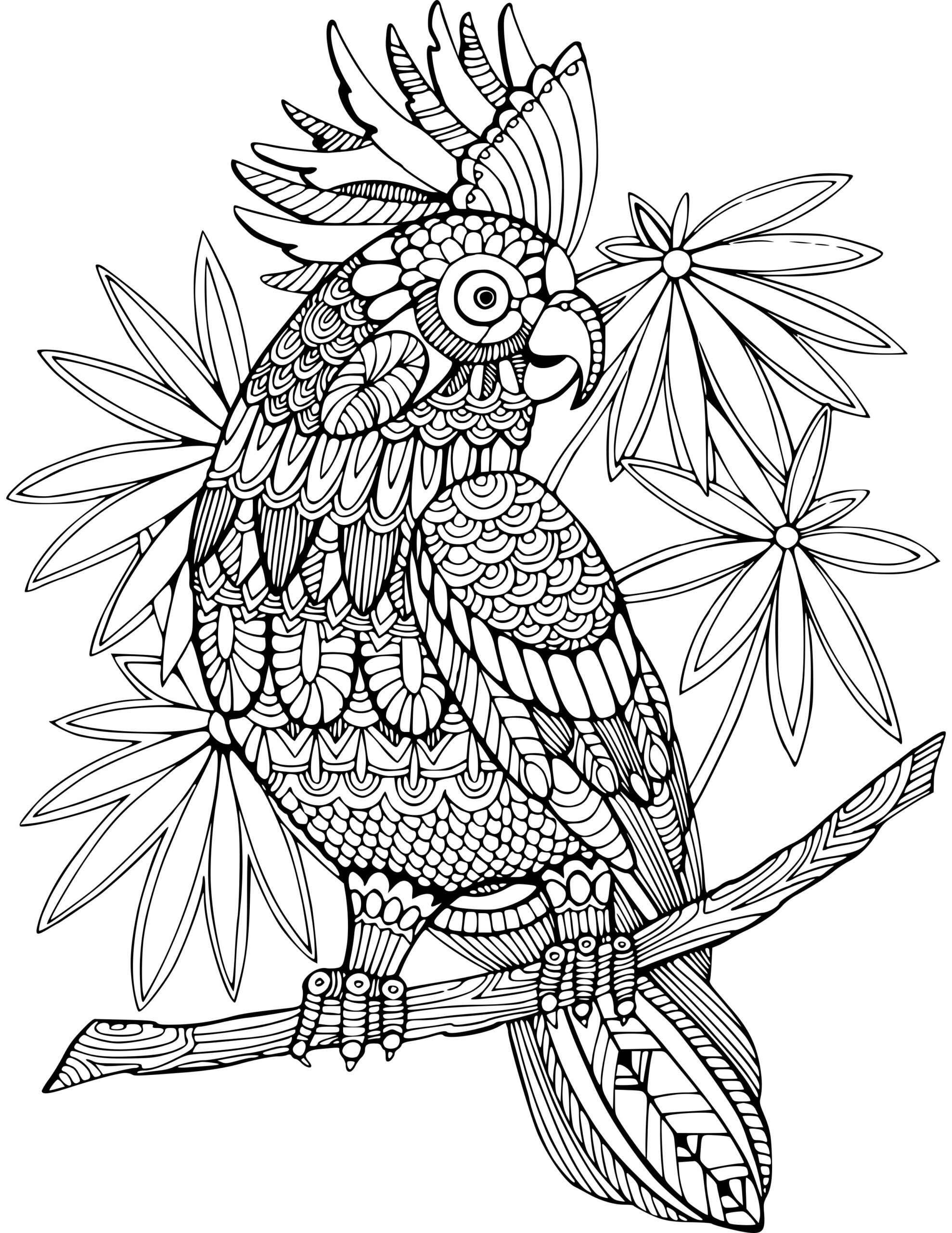 free printable adult coloring pages animals