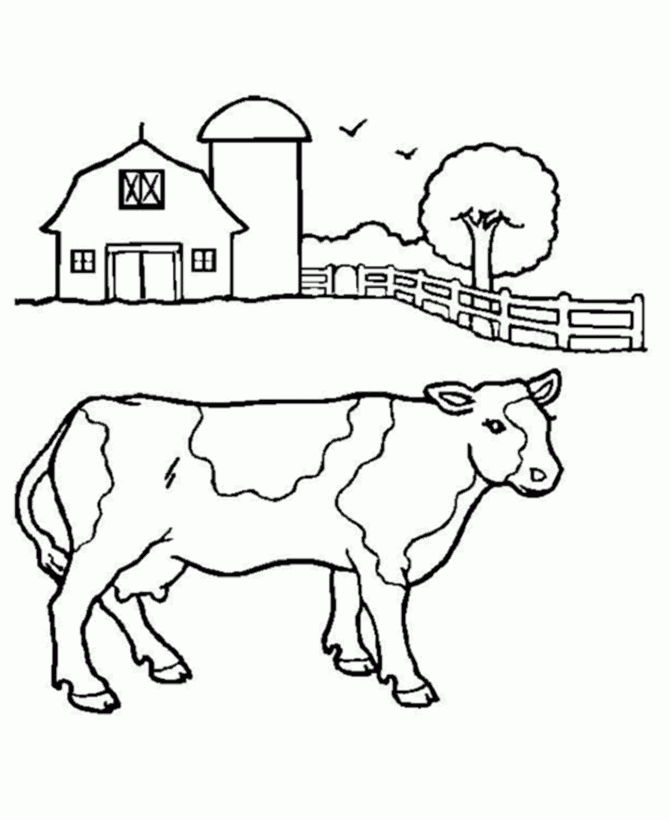 Coloring Pages Of Cows