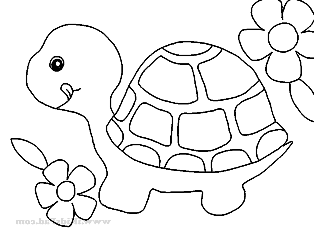 Coloring Printable Animals Team Coloring