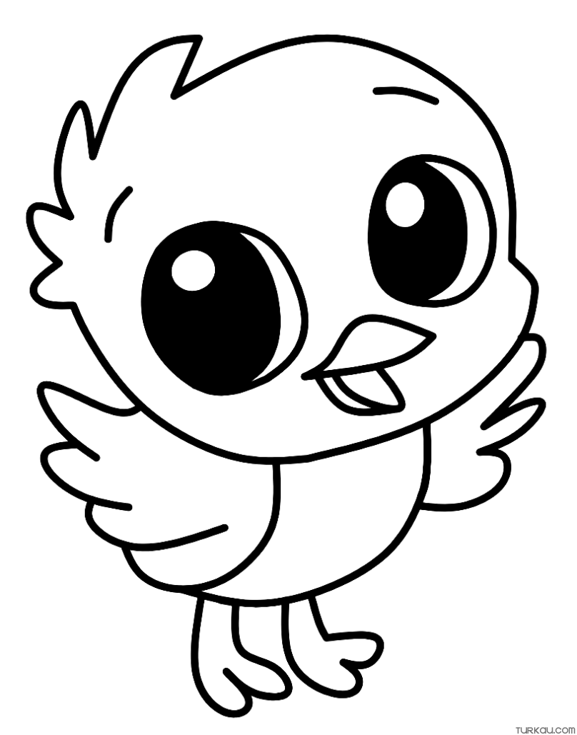 bird free coloring pages