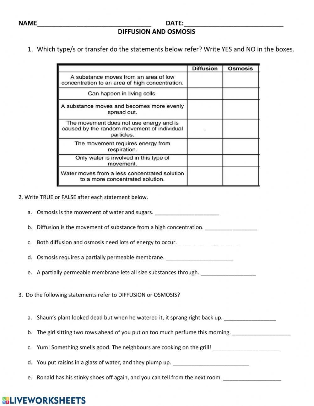 osmosis diffusion worksheet