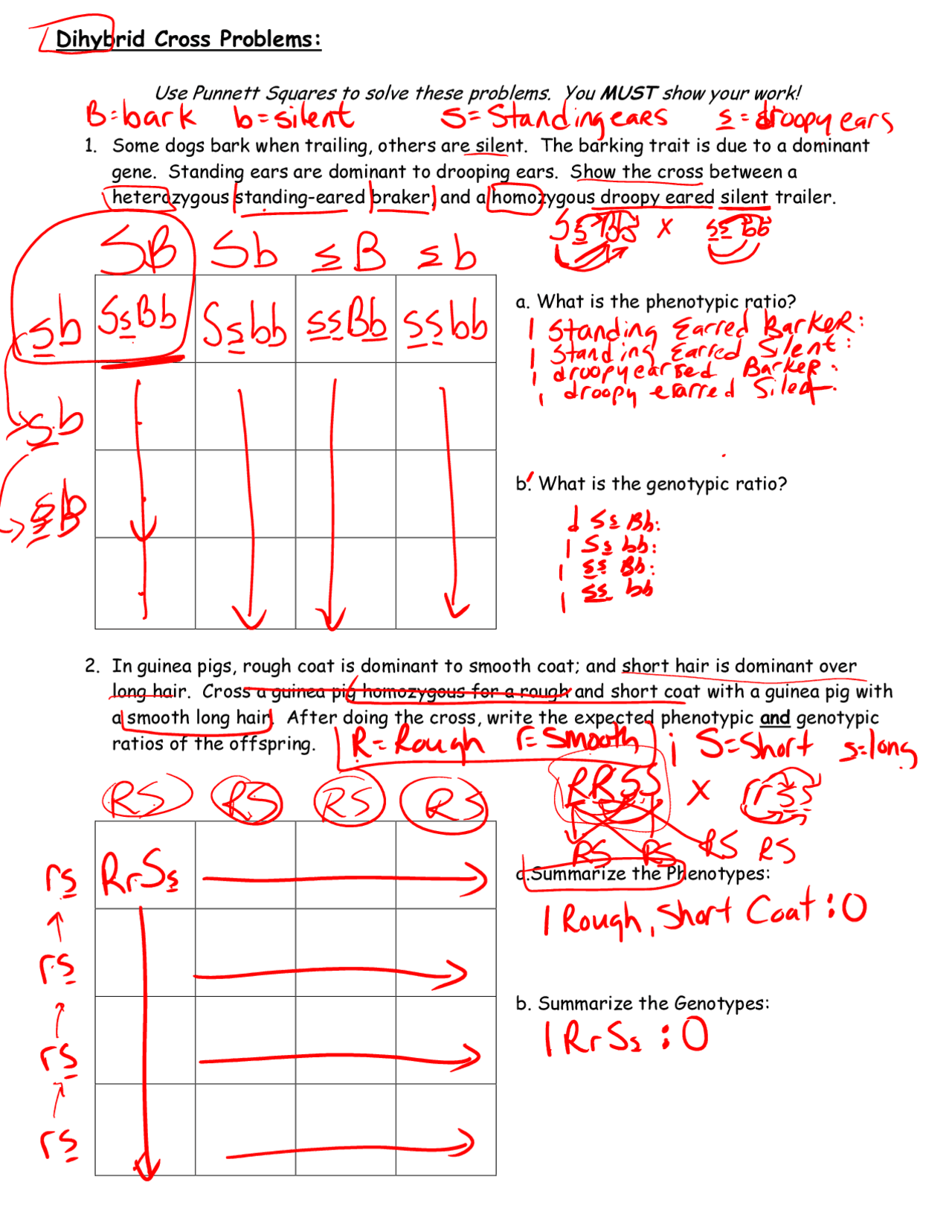 Dihybrid Cross Problems Lecture Notes Genetics Docsity