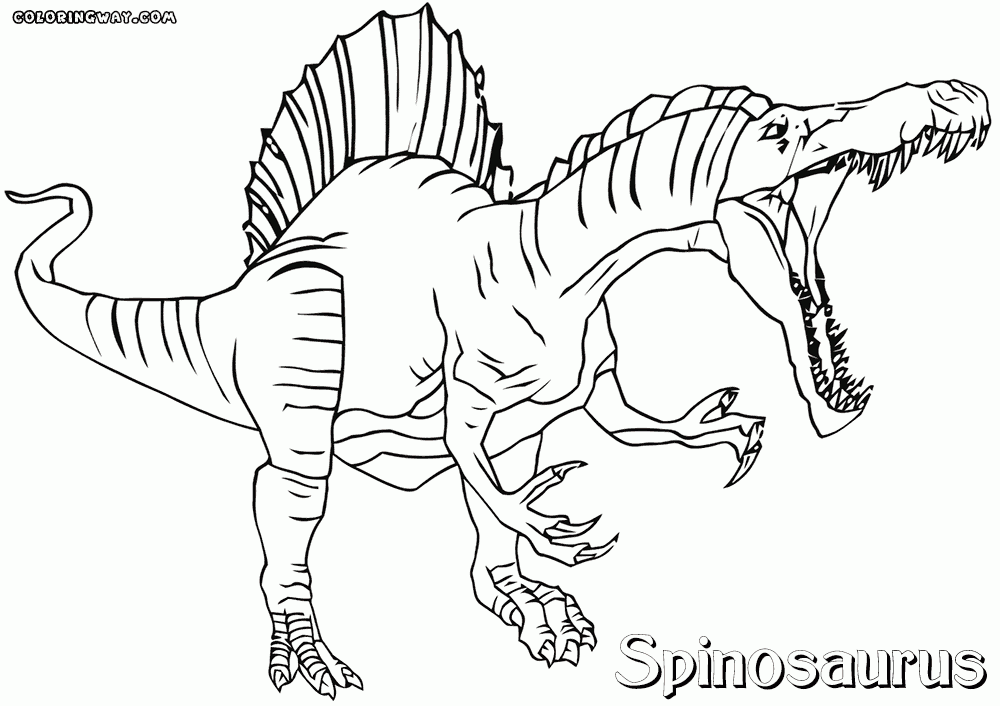 Dinosaur Coloring Pages Printable Spinosaurus Dinosaur Coloring Pages 