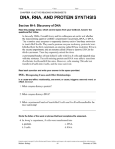 Directed Reading Worksheet With Answer Key Holt Biology Law Worksheet