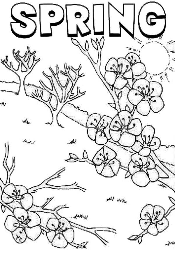 Disney Springtime Coloring Pages Coloring Home