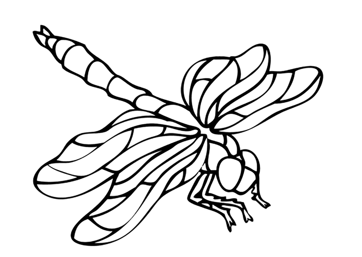 Coloring Pages Of Insects