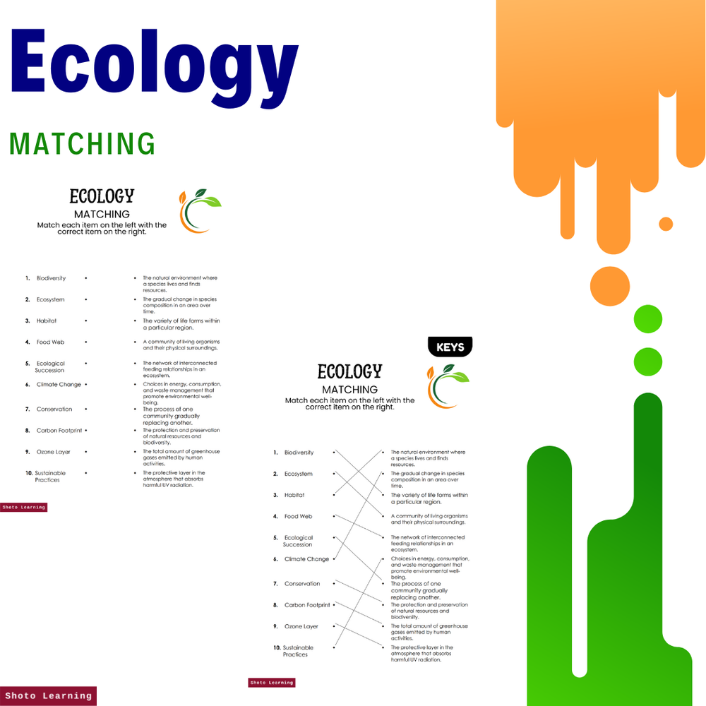 Ecology Essentials Matching Worksheet On Understanding The Basics 