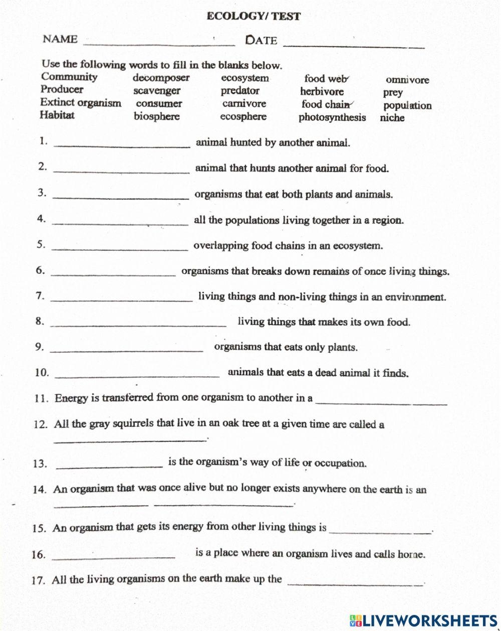 Ecology Vocabulary Worksheet Worksheet Live Worksheets Worksheets 
