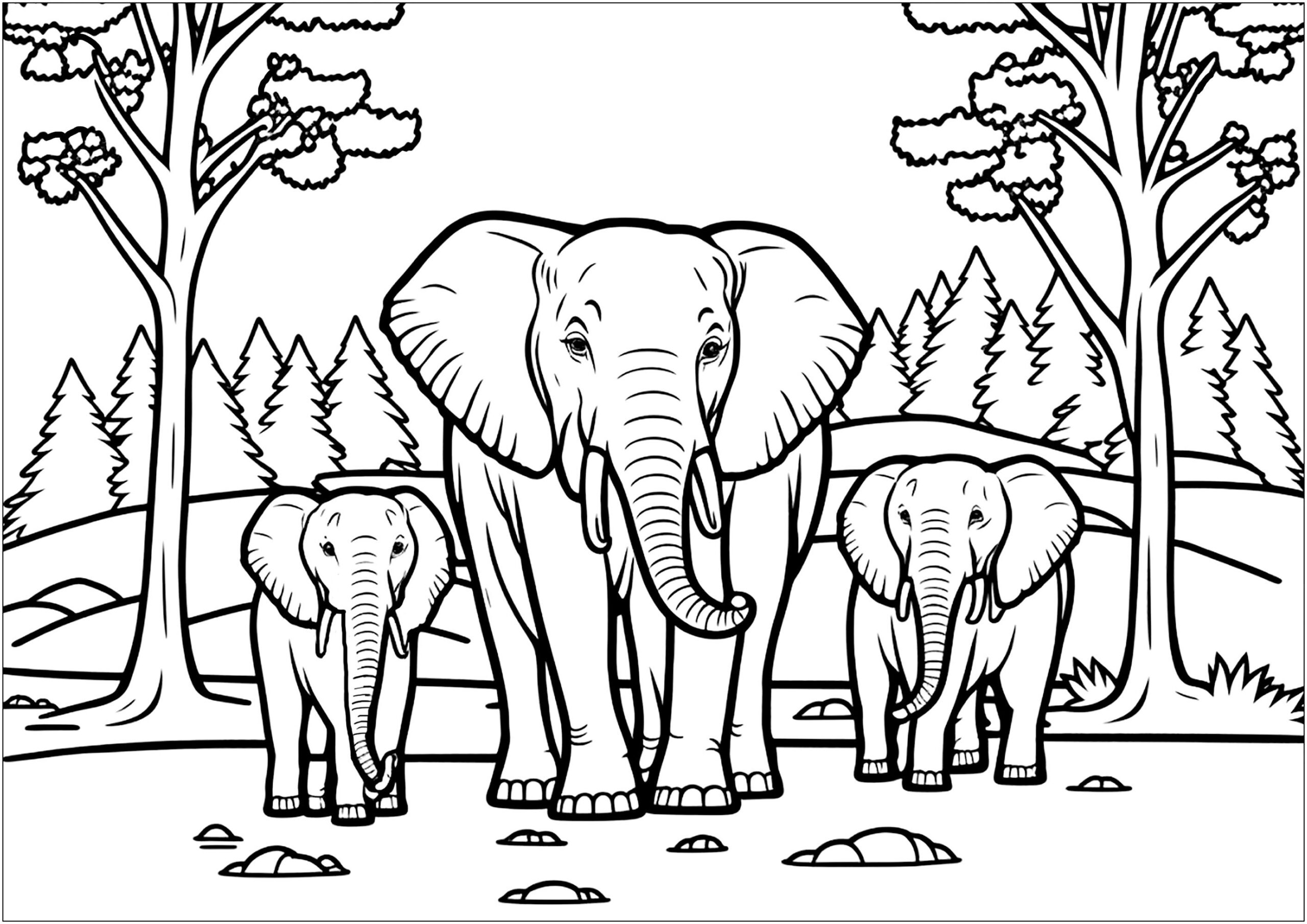 Elephant Family Elephant Coloring Pages For Kids