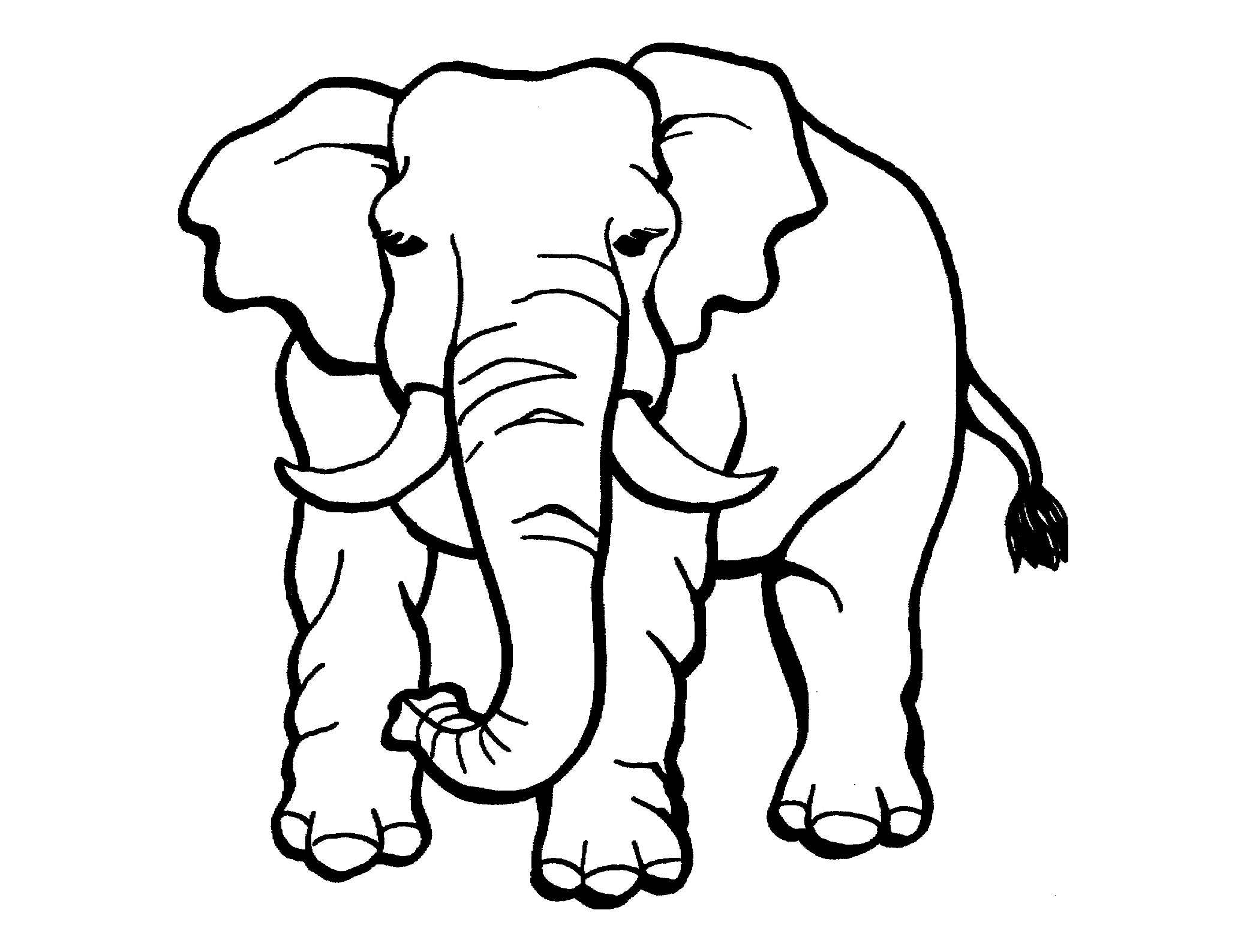 Elephant Image To Print And Color Elephant Coloring Pages For Kids