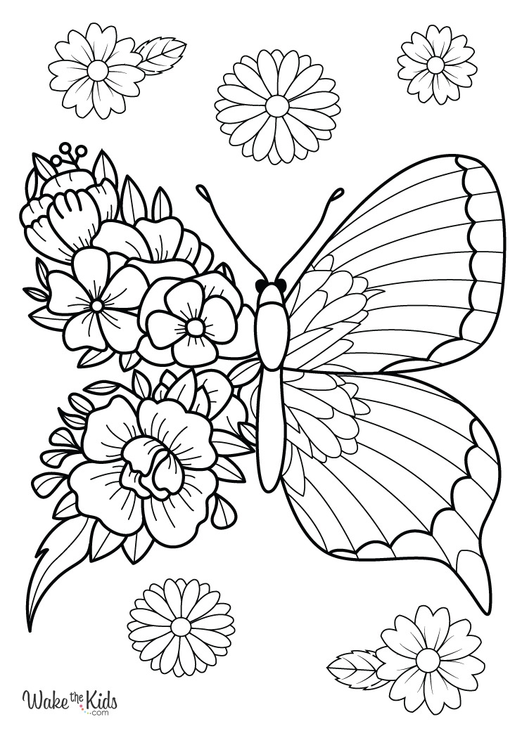 Flower And Butterfly Coloring Pages Free Printable PDFs WakeTheKids