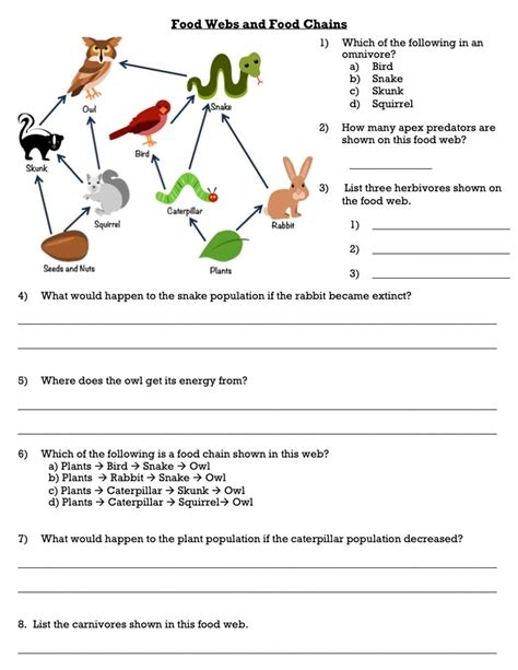 Food Chain And Food Web Worksheet Worksheets Library
