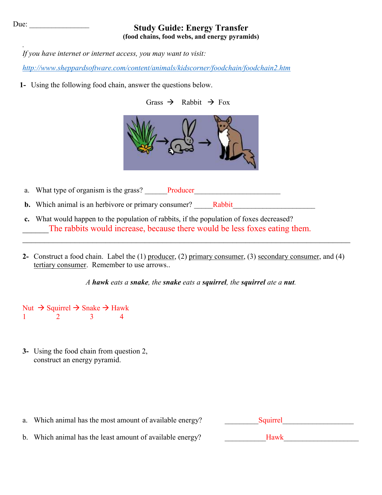 Food Chains Food Webs And Energy Pyramid Worksheets Free Pintables 