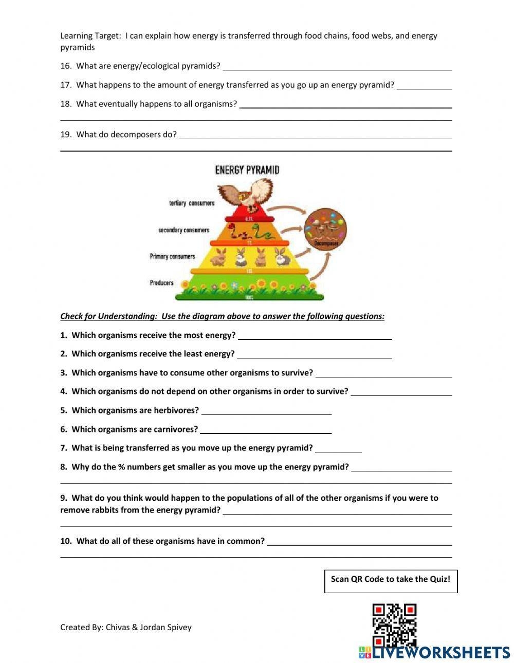 food chains food webs and energy pyramid worksheet
