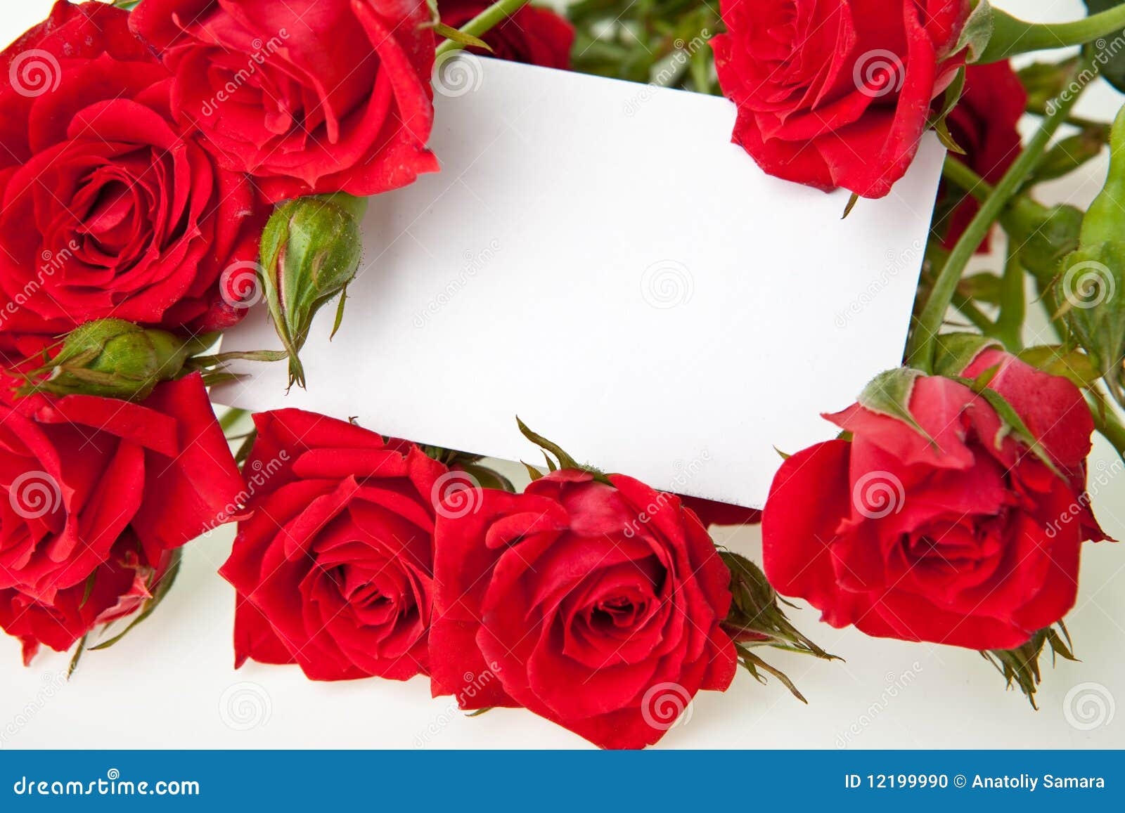 Free Blank Red Rose Wedding Invitation Templates Erokingdom