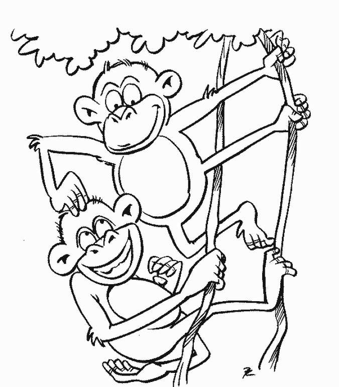 free coloring pages of monkeys