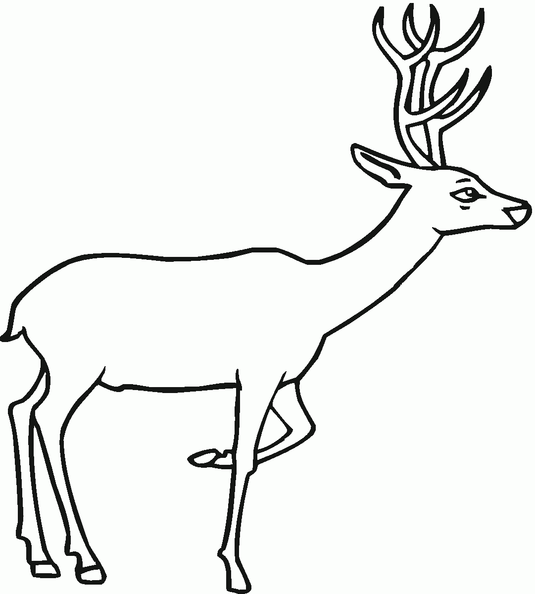 free deer coloring pages
