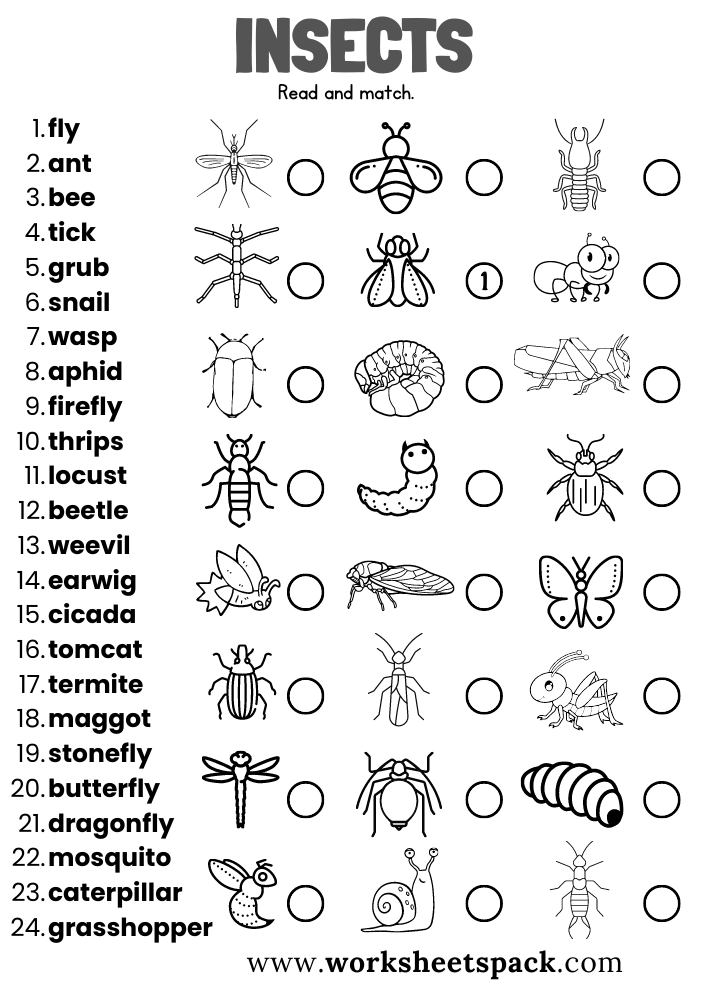 Free Insects Worksheets Worksheetspack Worksheets Insects Basic