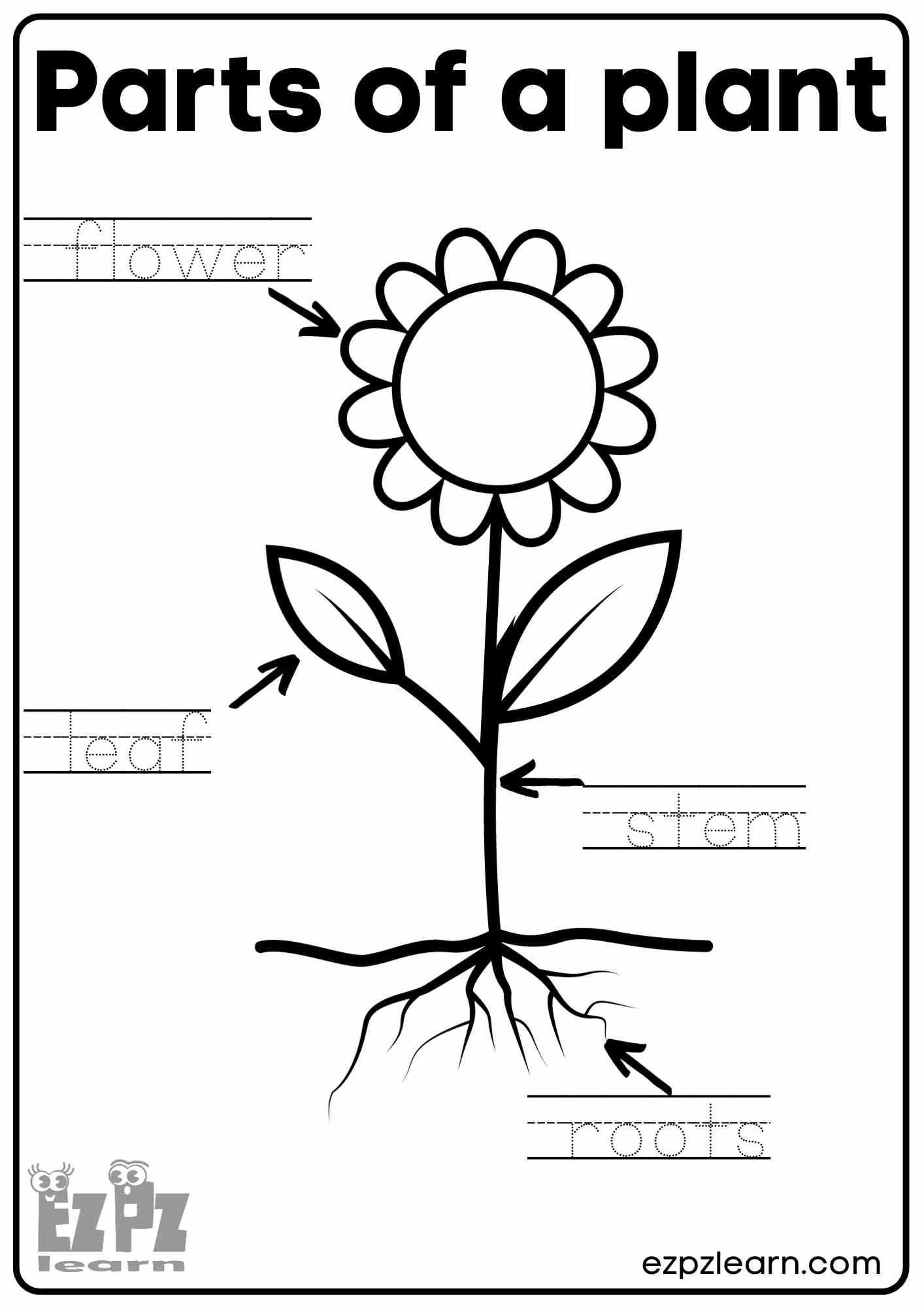 Free Kindergarten Plants Worksheet Download Free Kindergarten Plants 