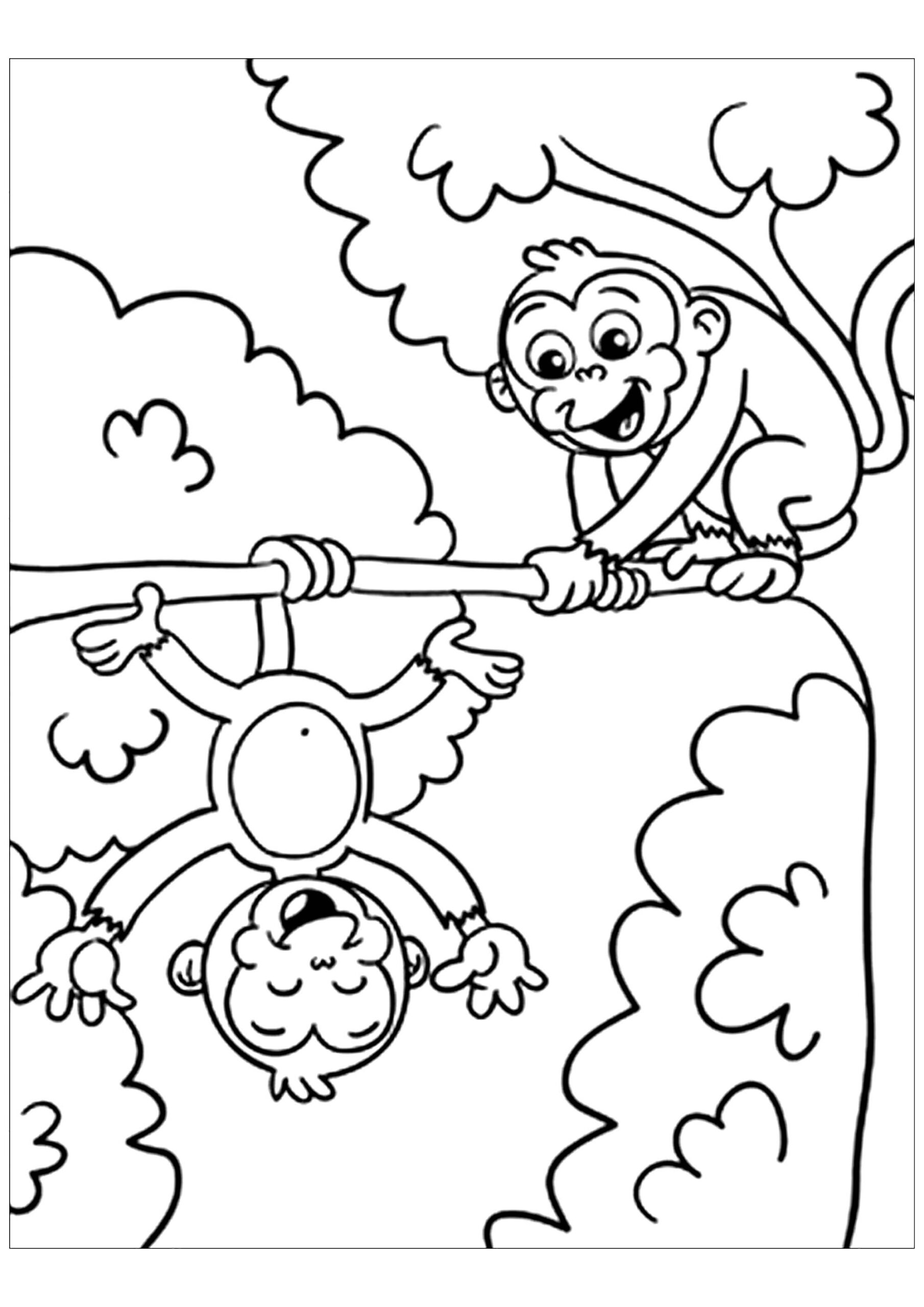 Free Monkey Drawing To Print And Color Monkey Coloring Pages