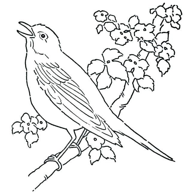 free bird coloring pages printable