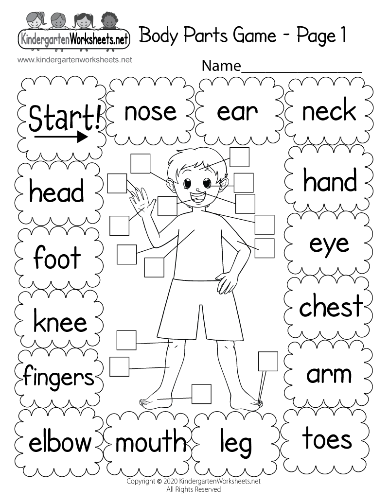 parts of body worksheet for kindergarten