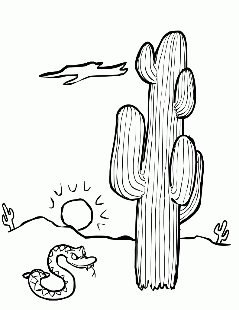 Coloring Pages Of Cactus