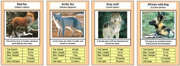 Free Printable Card Game Animal Trumps Card Games Animal Games 