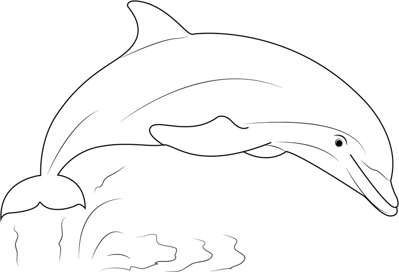 Free Printable Coloring Pages Dolphins Coloring Book