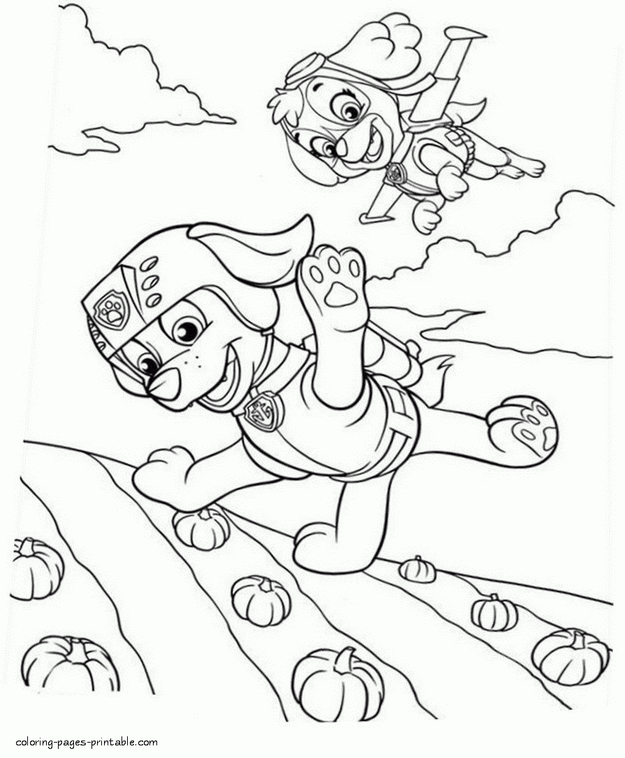paw patrol printable coloring pages zuma