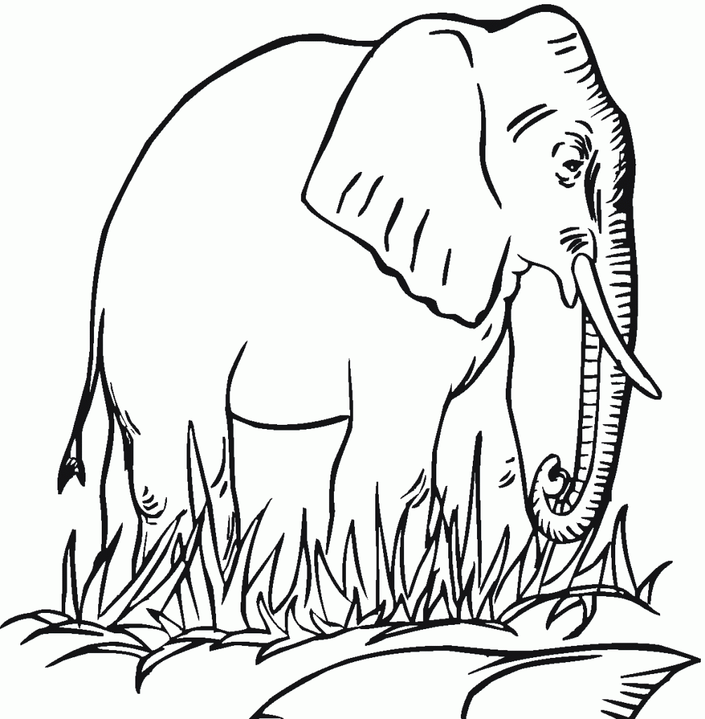 free printable elephant coloring pages