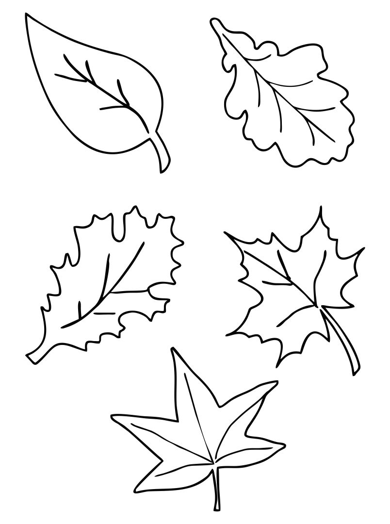 leaf templates printable free
