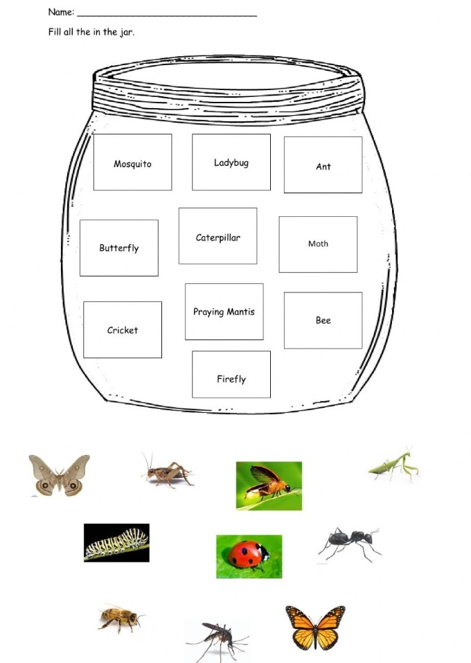 science for kindergarten worksheets