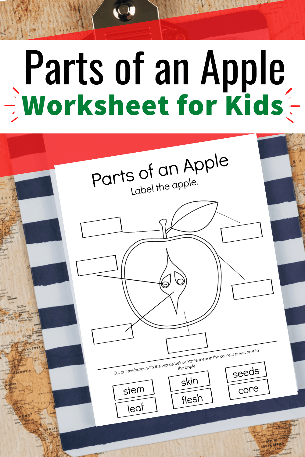 Free Printable Parts Of An Apple Worksheet Worksheets Library