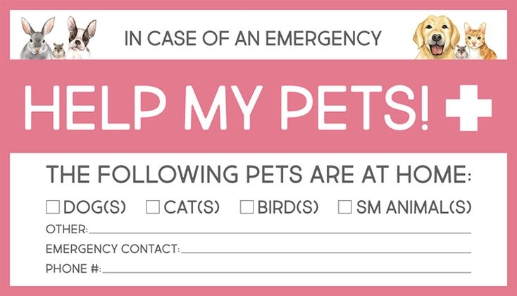Free Printable Pet Emergency Card Outlet Sales Www pinnaxis