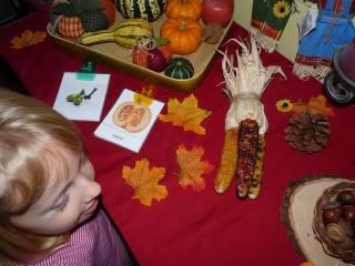 Free Printable Pumpkin Life Cycle Sequencing Cards
