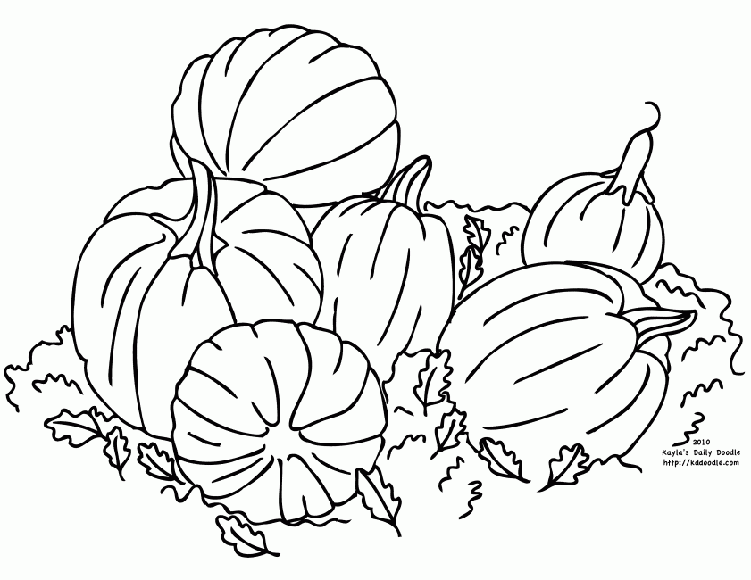 Free Printable Pumpkins Coloring Home