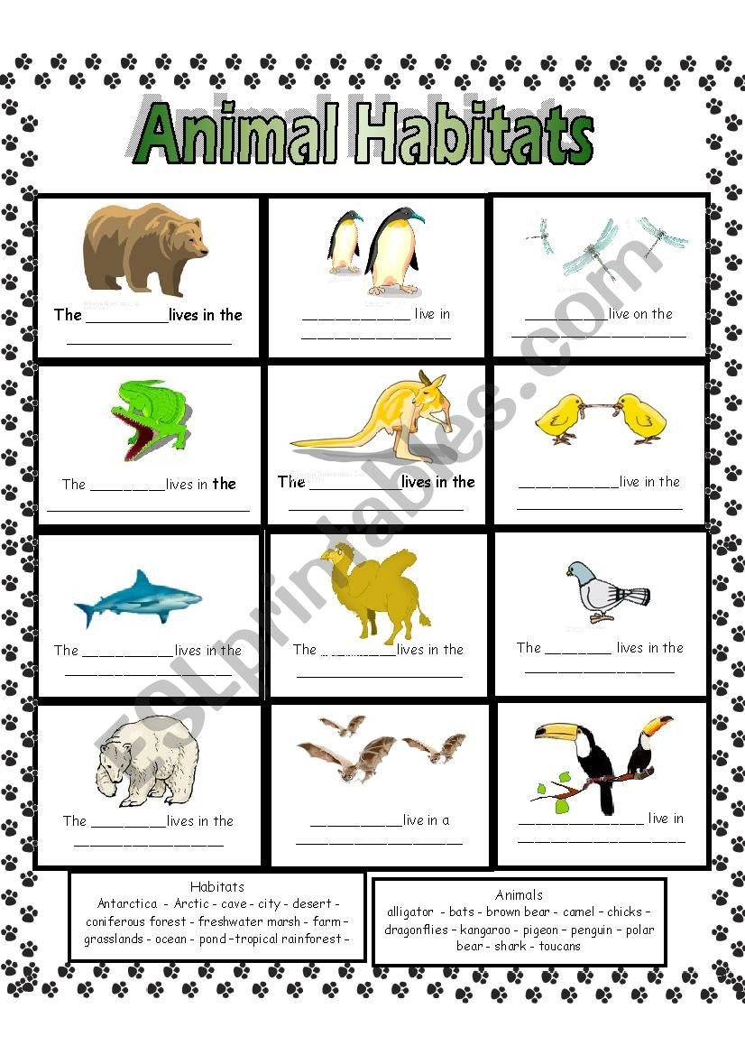 Free Printable Worksheets Animal Habitats Rossy Printable