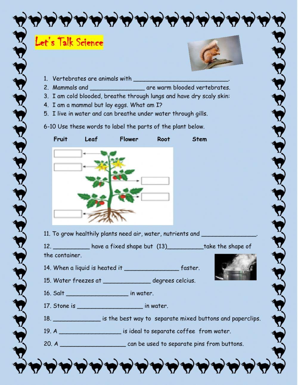 science worksheets for 4th graders