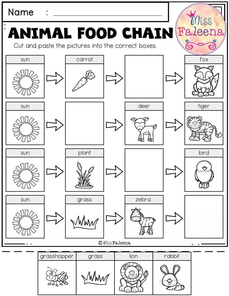 Free Worksheets For Kindergarten Science Scienceworksheets