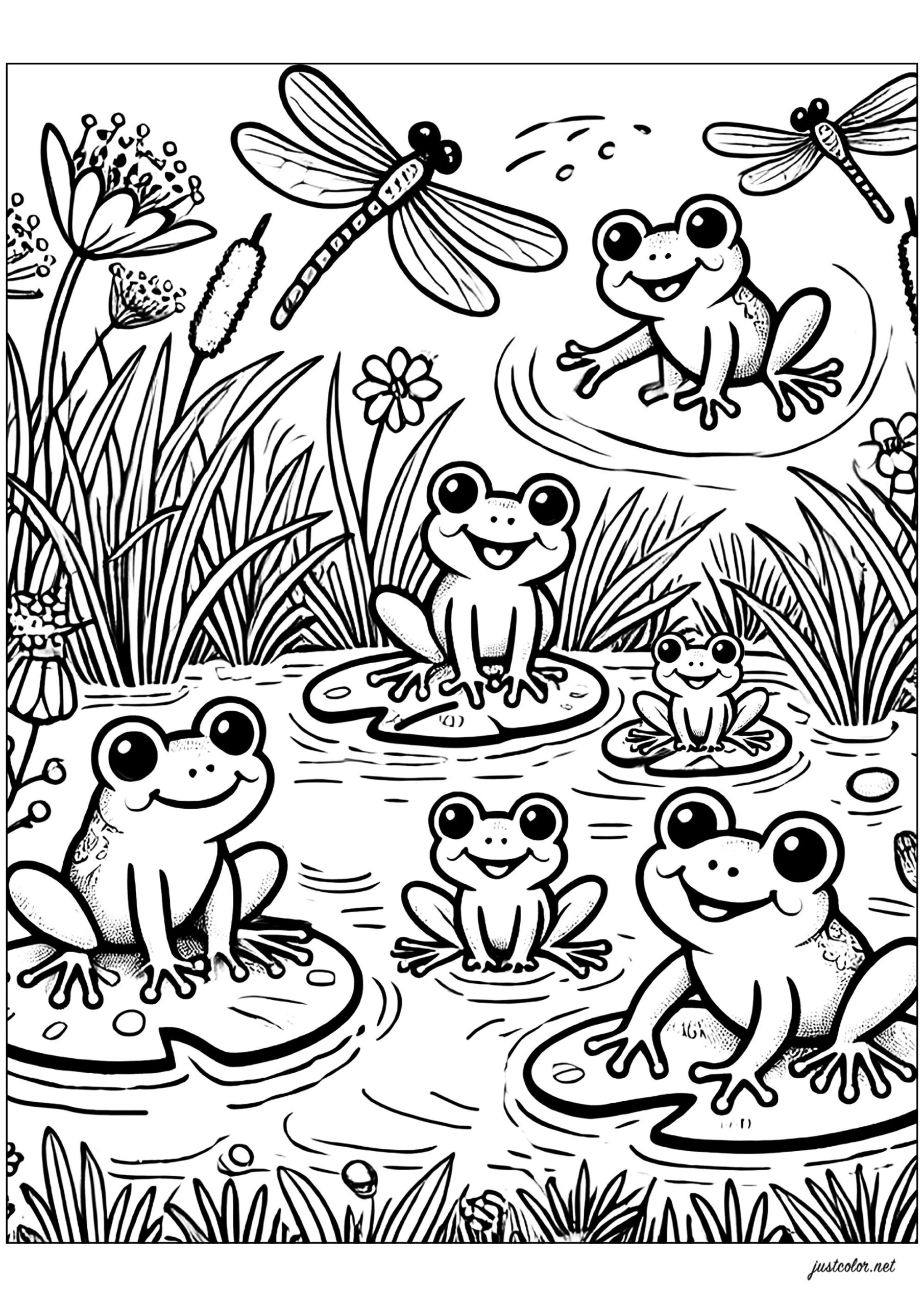 Coloring Pages Of Frogs