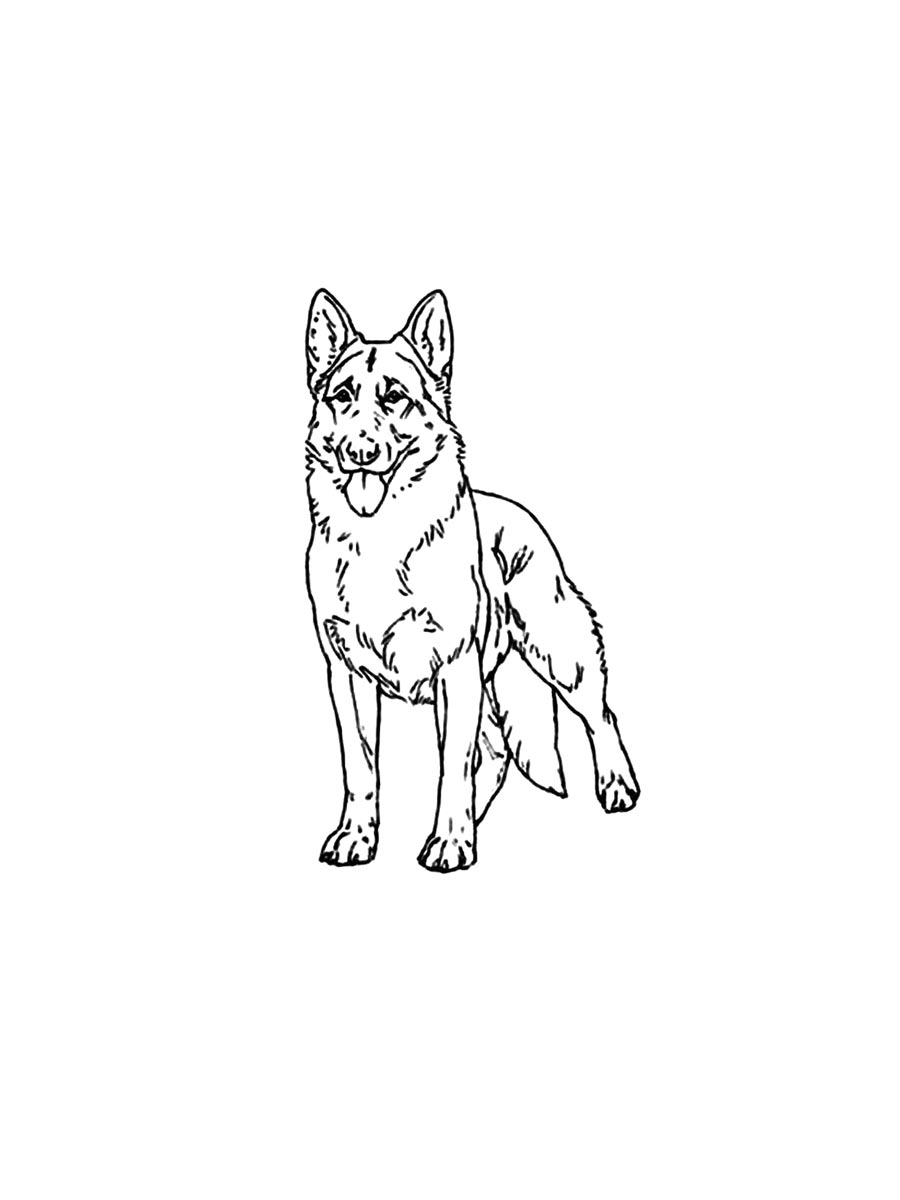 German Shepherd Coloring Pages