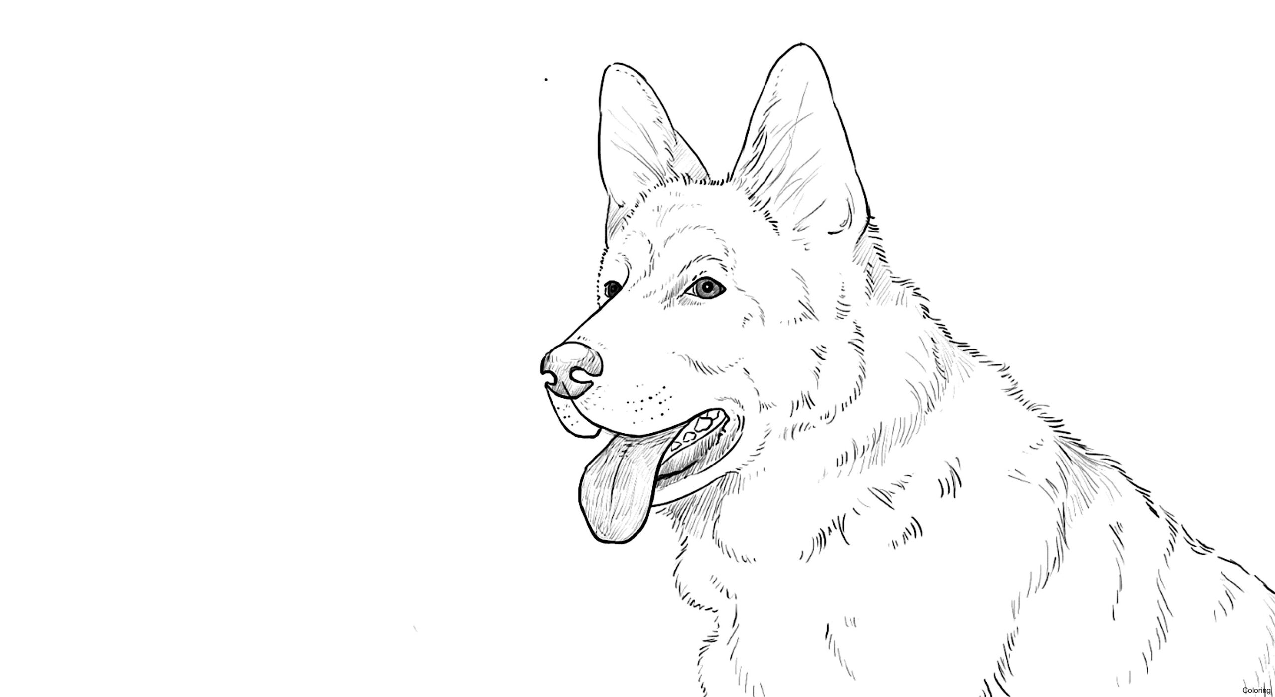 Coloring Pages Of German Shepherd Dog