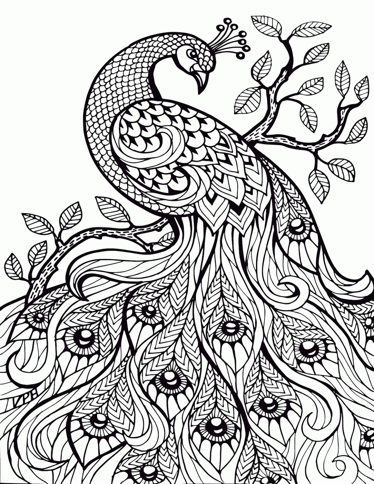 Adult Coloring Pages Online