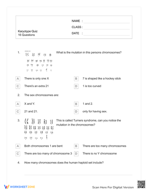 karyotype worksheet answer key