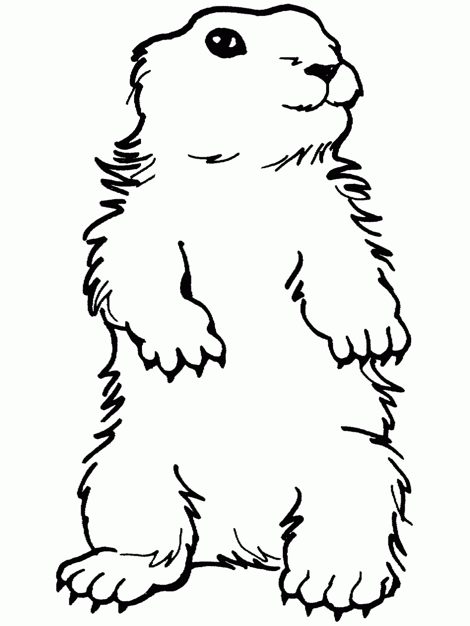 Groundhog Day Coloring Pages Activities Coloring Home