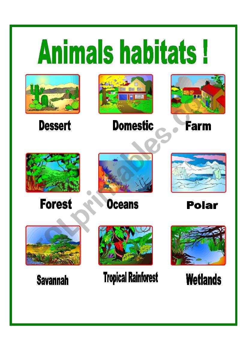 Habitats Of Animals For Kids Worksheet Printable PDF Template